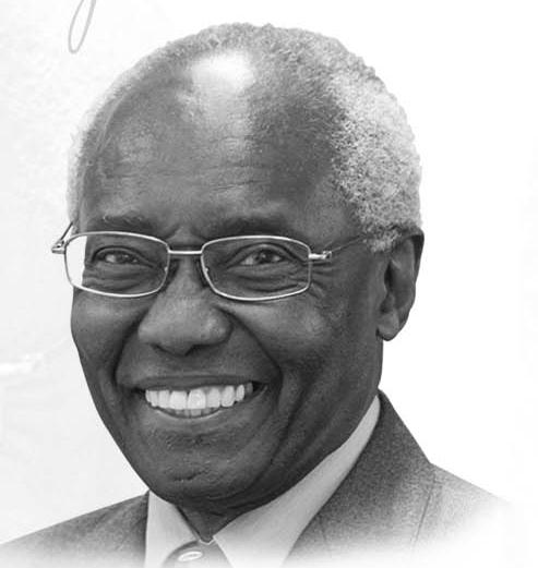 Professor Sir Geoff (Godfrey) Palmer OBE